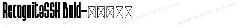 RecognitaSSK Bold字体转换